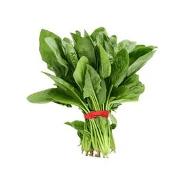 Spinach Leaves (Palak)