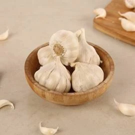 Garlic