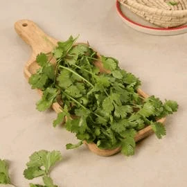 Coriander Leaves (Dhaniya)